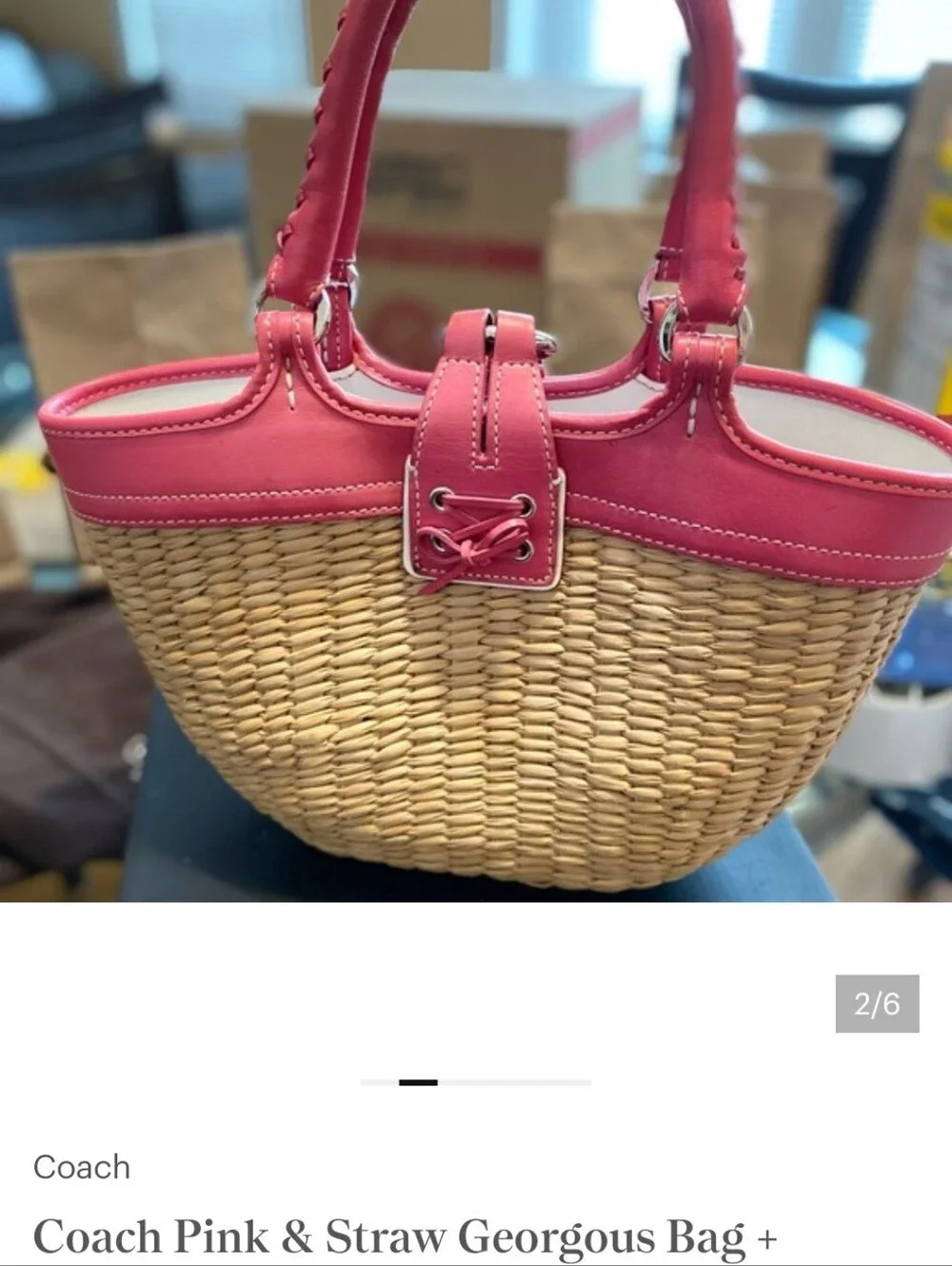 Coach Leather Butterfly Hangtag Bag